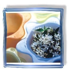 Pandorael Shop - Vasen - Pflanzschalen - Blumentöpfe - Pflanzgefäße - Recyclingglas